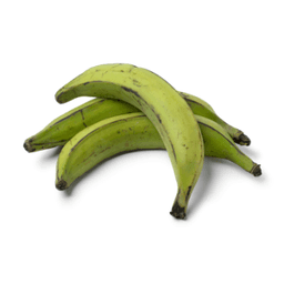 Main