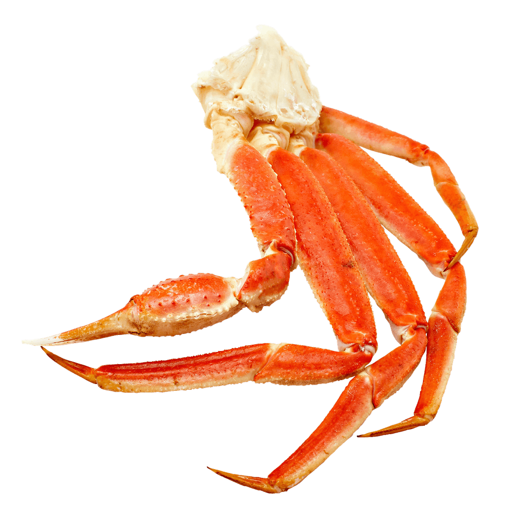 Main