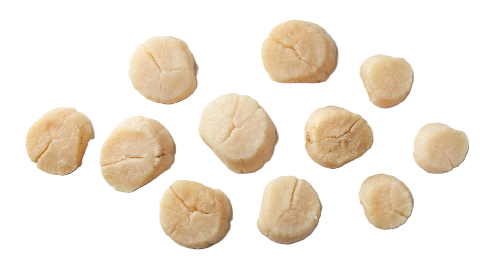 Main