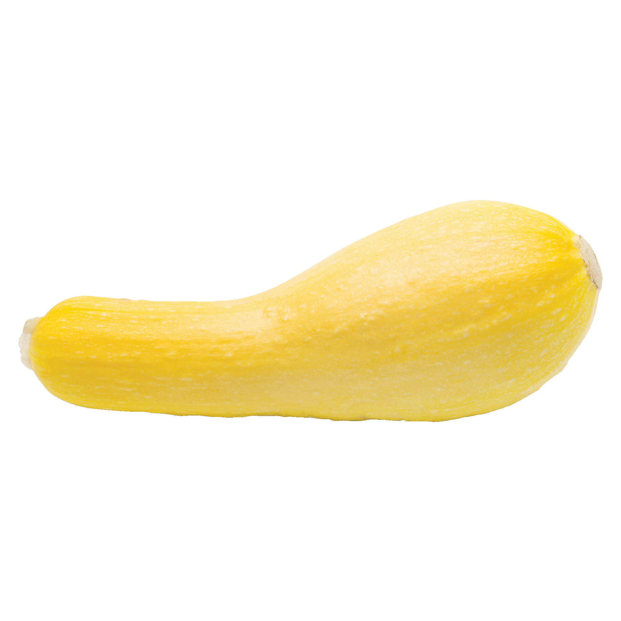 Main
